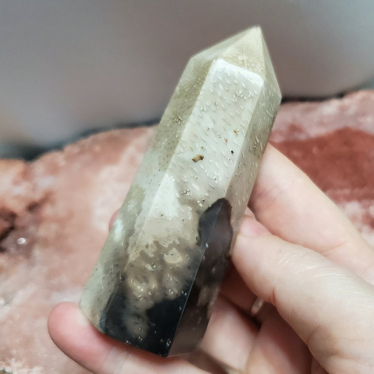 Fossilized Palm Root Generator Tower Indonesia Crystals Minerals Stones Natural F