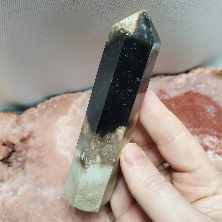 Fossilized Palm Root Generator Tower Indonesia Crystals Minerals Stones E