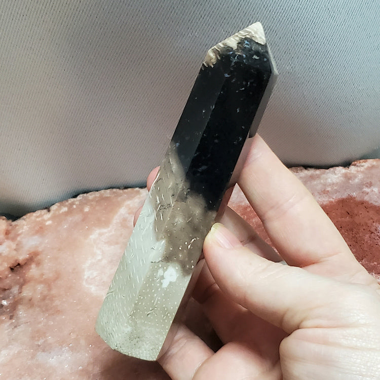 Fossilized Palm Root Generator Tower Chalcedony Indonesia Crystals C