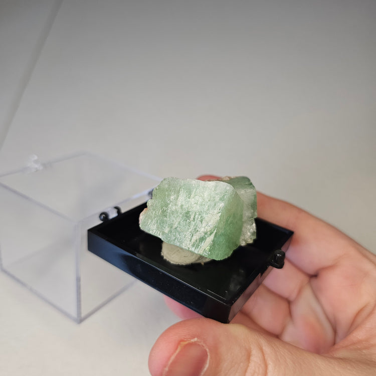 Green Apophyllite Crystals Minerals Thumbnails Natural Specimen Collectible