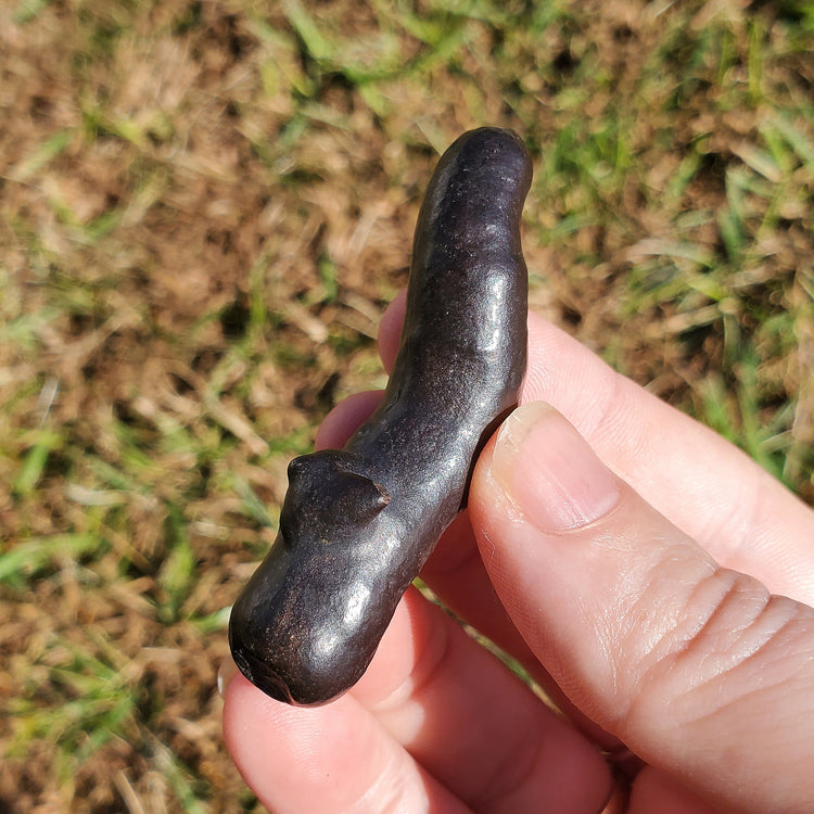 Prophecy Stone Unique Specimen Collectible Minerals Egypt