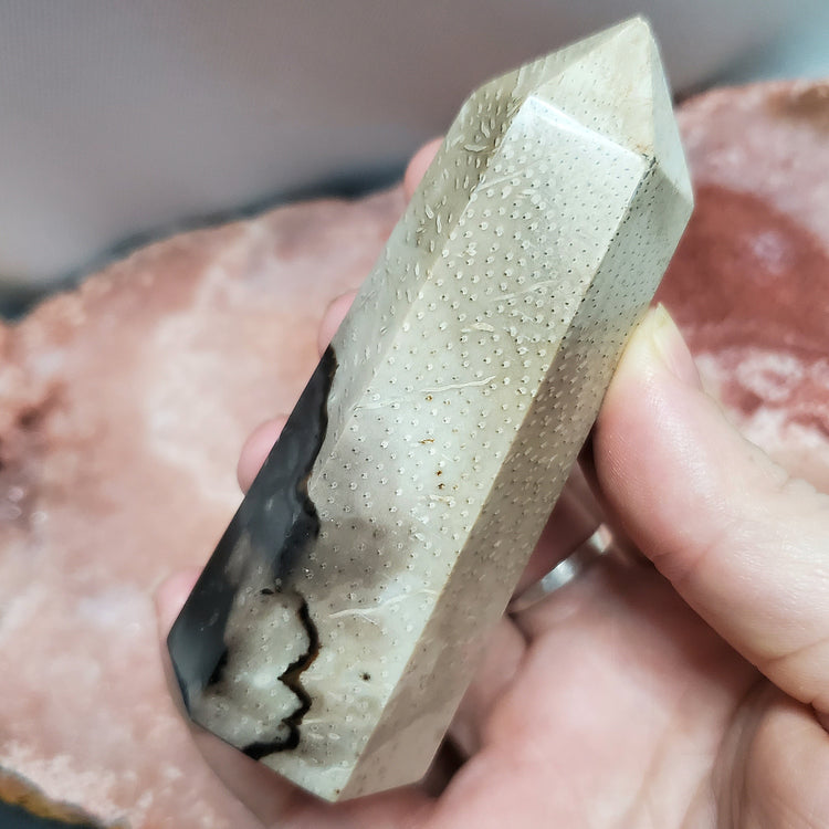 Fossilized Palm Root Generator Tower Indonesia Crystals Minerals Stones Natural F