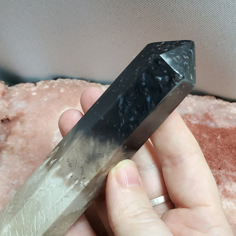 Fossilized Palm Root Generator Tower Chalcedony Indonesia Crystals Collectible B