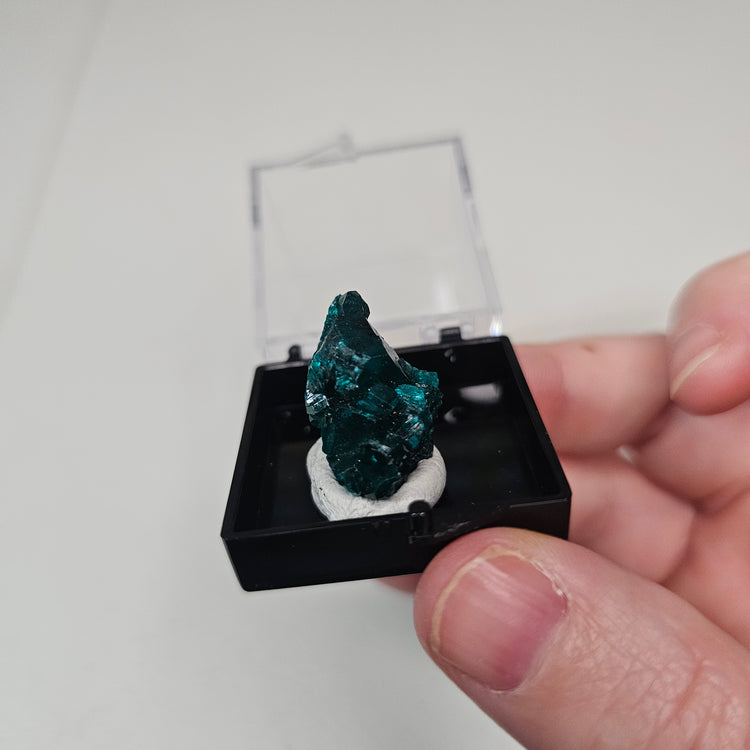 Dioptase Crystals Minerals Thumbnails Natural Specimen Collectible