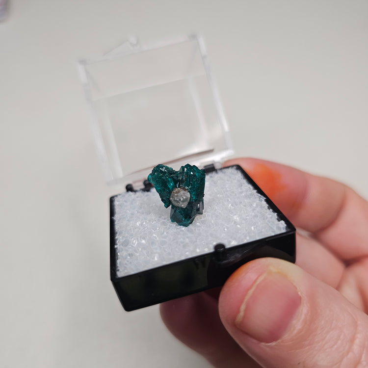 Dioptase Crystals Minerals Thumbnails Natural Specimen Collectible