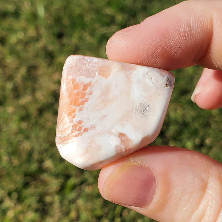 Scolecite Tumble Pocket Stone BONUS INFO CARD Crystals Minerals