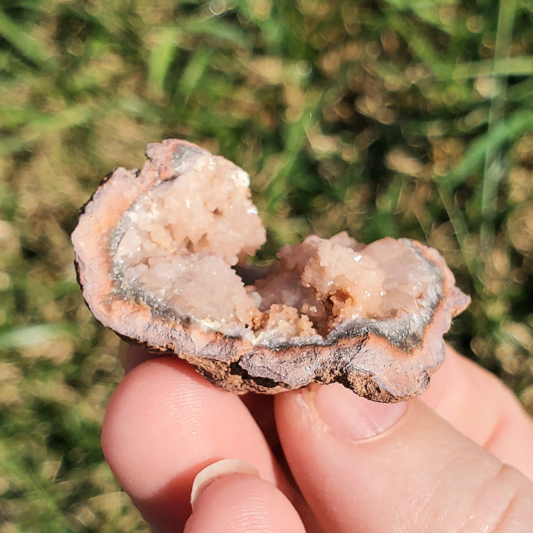 Pink Amethyst Geode Specimen BONUS INFO CARD Gifts