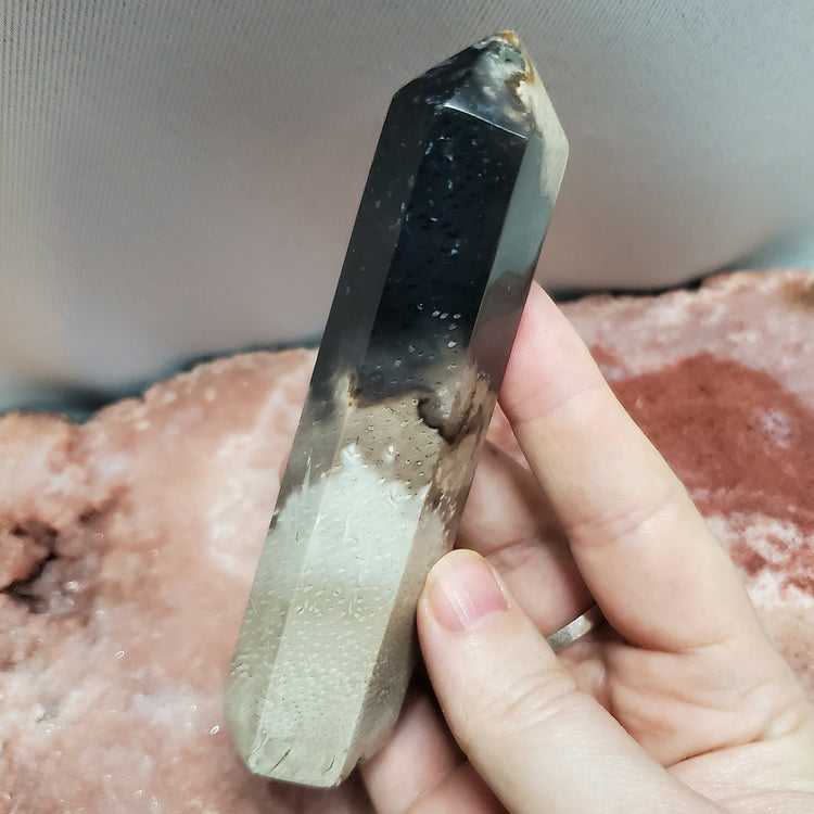 Fossilized Palm Root Generator Tower Indonesia Crystals Minerals Stones E