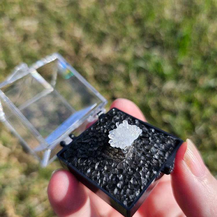 Quartz Flower Crystals Minerals Thumbnails Natural Specimen Collectible