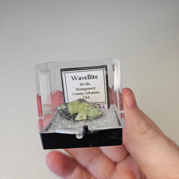Wavellite Crystals Minerals Thumbnails Natural Specimen Collectible