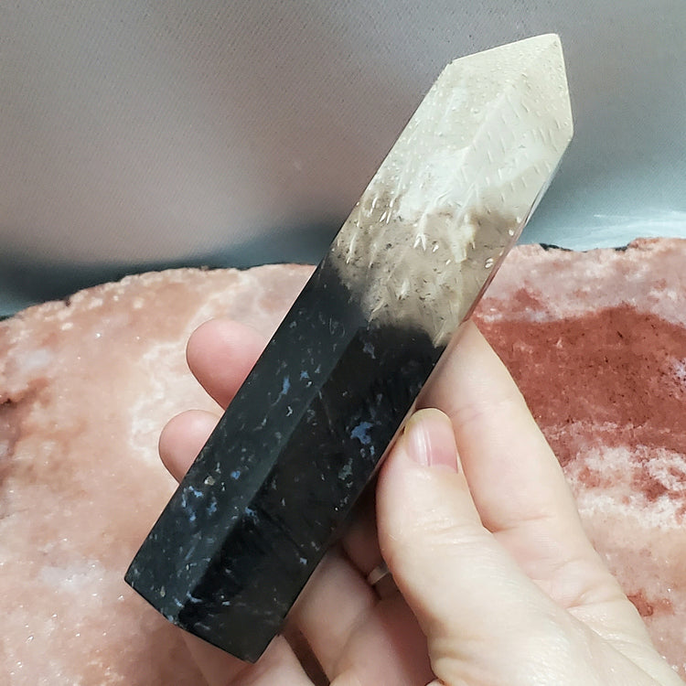 Fossilized Palm Root Tower Generator Indonesia Crystals Minerals Stones Natural Healing Metaphysical Nature Reiki Collectible A