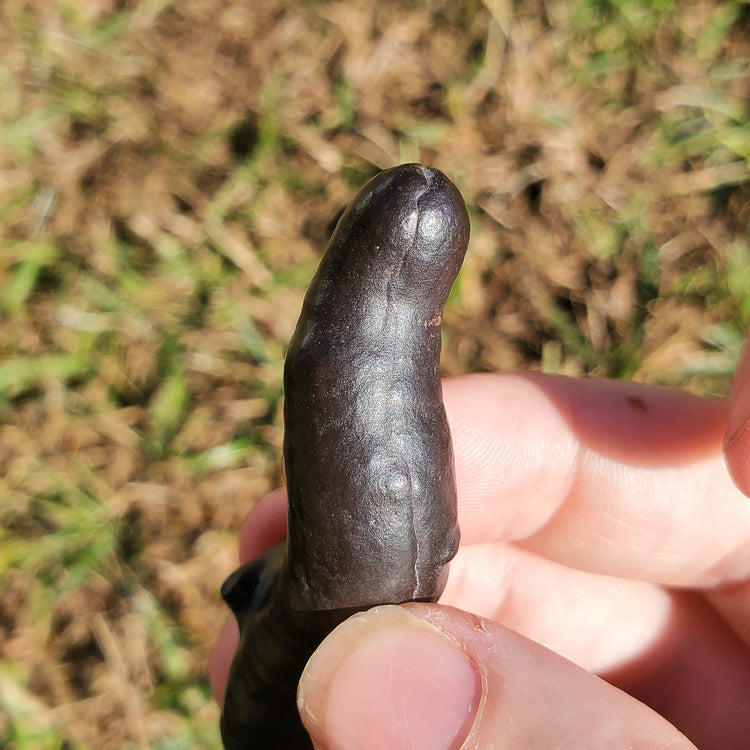 Prophecy Stone Unique Specimen Collectible Minerals Egypt