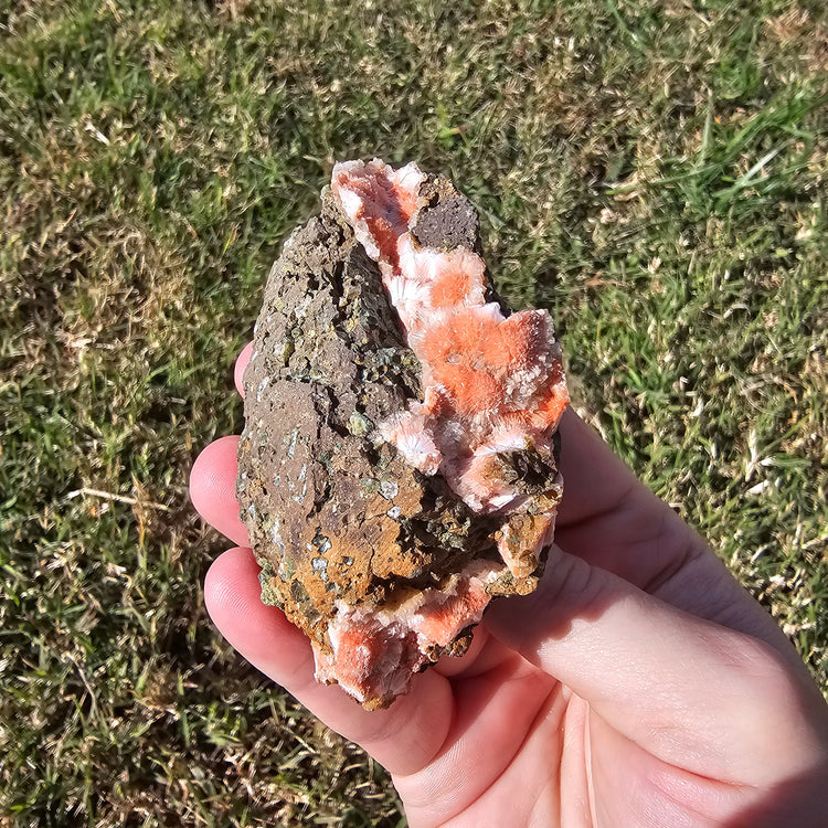 Thomsonite Specimen India Crystals Minerals Collectible Gifts