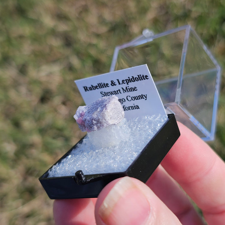 Rubellite & Lepidolite Crystals Minerals Thumbnails Natural Specimen Collectible