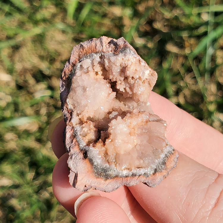 Pink Amethyst Geode Specimen BONUS INFO CARD Gifts