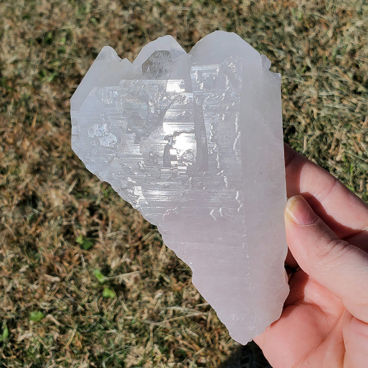 Brazilian Clear Quartz BONUS INFO CARD Crystals Minerals Specimen Collectible