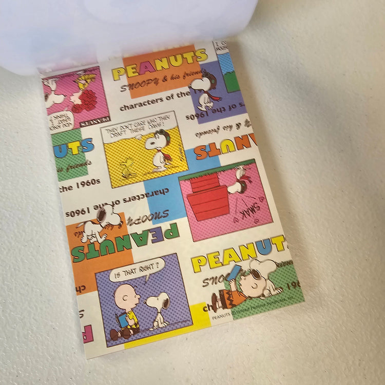 Snoopy Memo Pad Stationery Collectible Gifts Deadstock