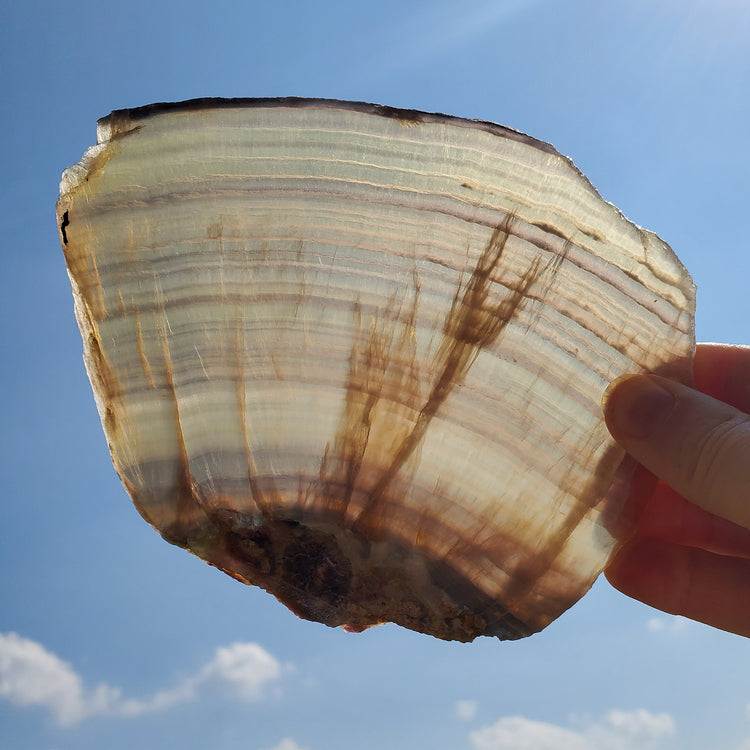 Rainbow Fluorite Slab Slice Minerals Stones Natural BONUS Info Card Nature Reiki Collectible