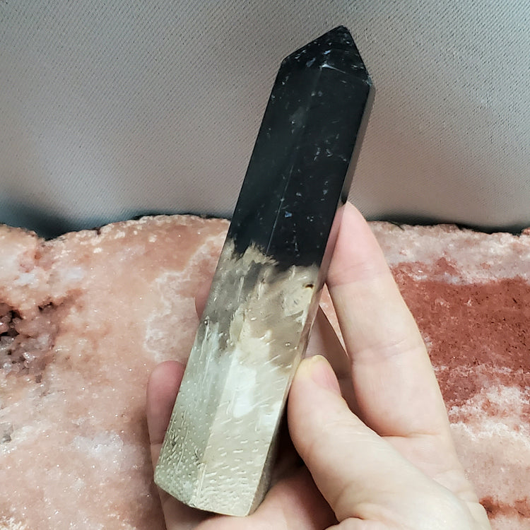 Fossilized Palm Root Generator Tower Chalcedony Indonesia Crystals Collectible B