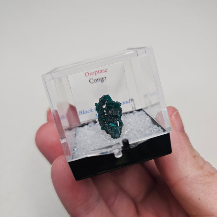 Dioptase Crystals Minerals Thumbnails Natural Specimen Collectible