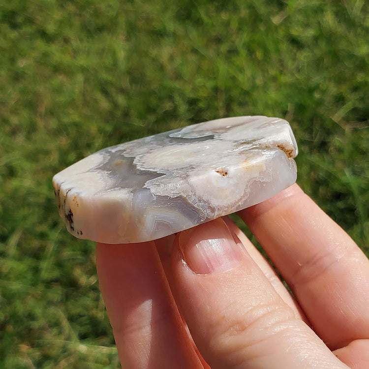 Flower Agate Slice Slab Minerals Stones BONUS INFO CARD Nature Reiki Collectible