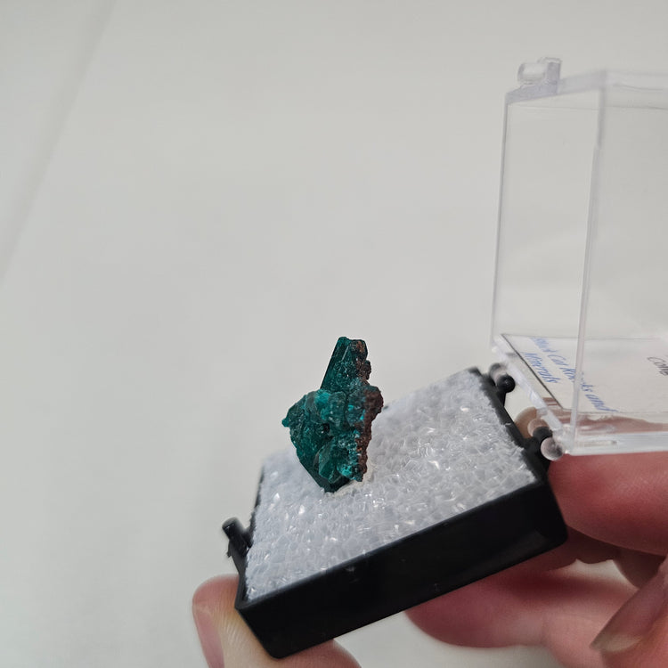 Dioptase Crystals Minerals Thumbnails Natural Specimen Collectible