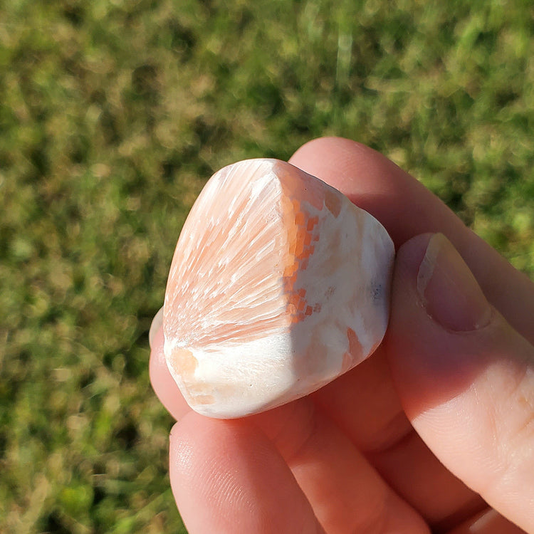 Scolecite Tumble Pocket Stone BONUS INFO CARD Crystals Minerals