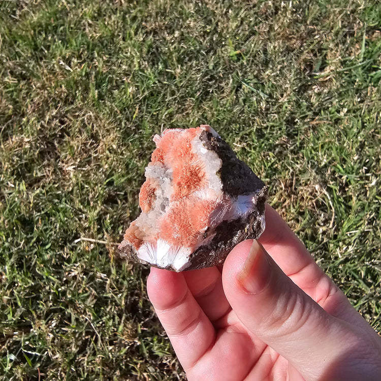 Thomsonite Specimen India Crystals Minerals Collectible Gifts