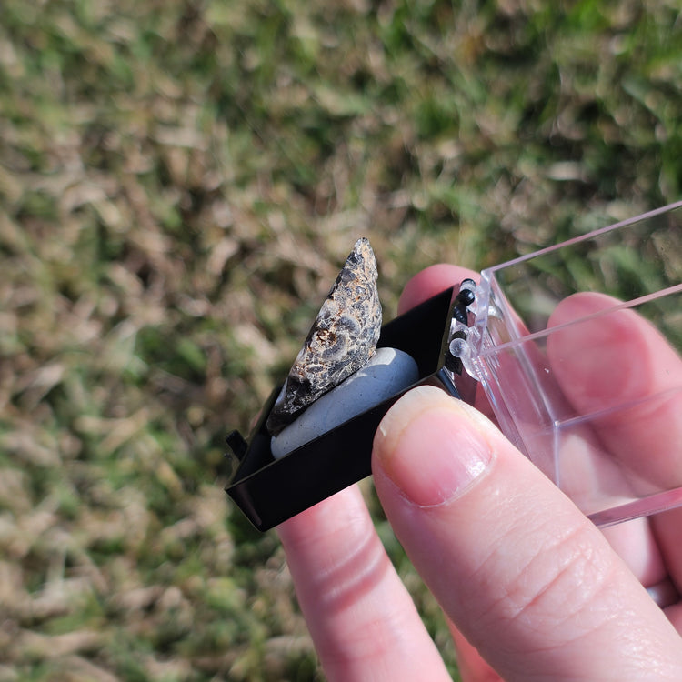 Oco Geode Crystals Minerals Thumbnails Natural Specimen Collectible