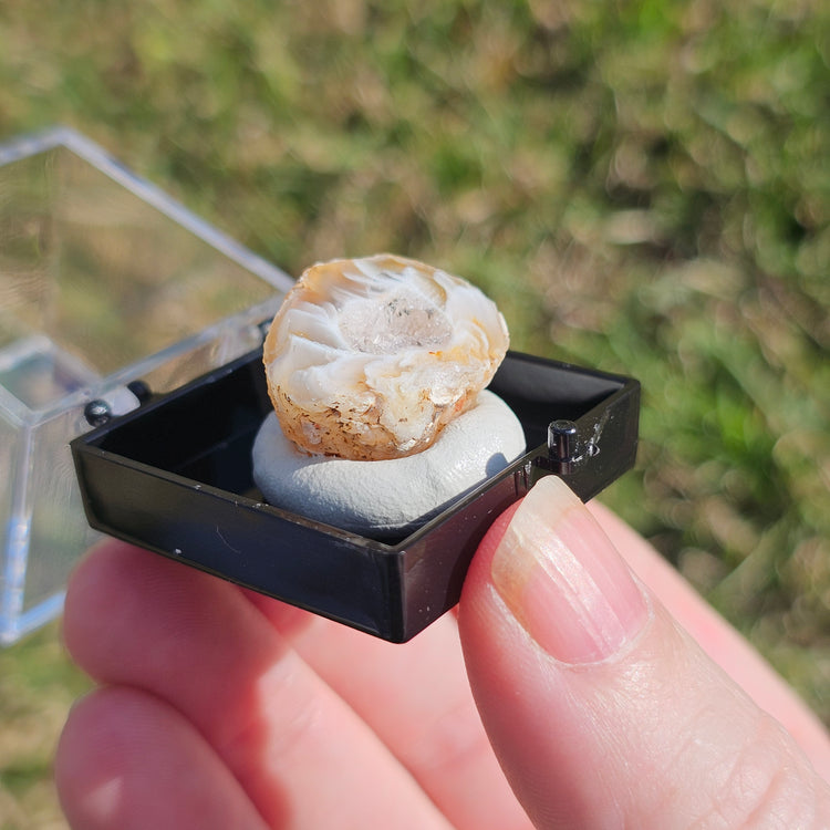 Oco Geode Crystals Minerals Thumbnails Natural Specimen Collectible