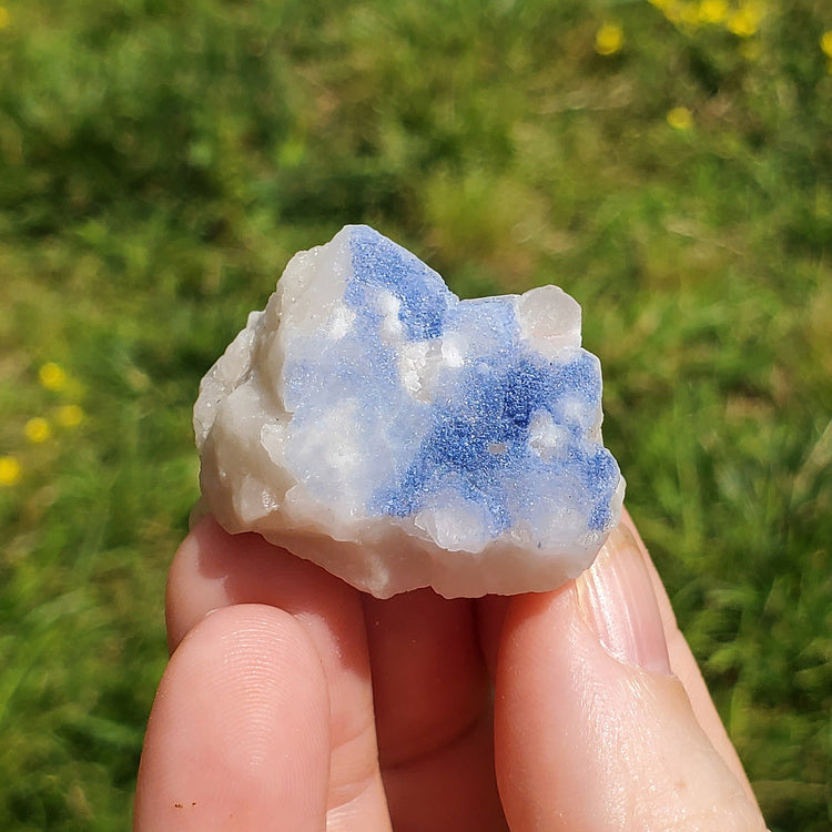 Dumortierite included Quartz Specimen Crystals Minerals Stones BONUS Info Card Metaphysical Nature Reiki Sugary Collectible
