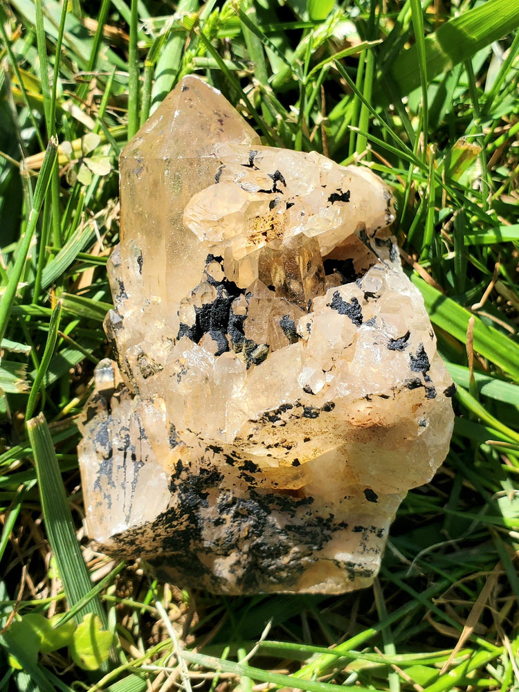 Natural Citrine Congo Specimen Crystals Minerals Stones Natural Metaphysical Nature Reiki Collectible C