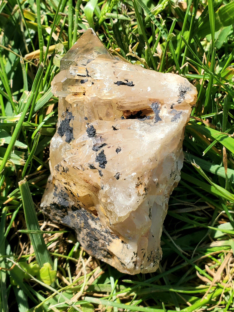 Natural Citrine Congo Specimen Crystals Minerals Stones Natural Metaphysical Nature Reiki Collectible C