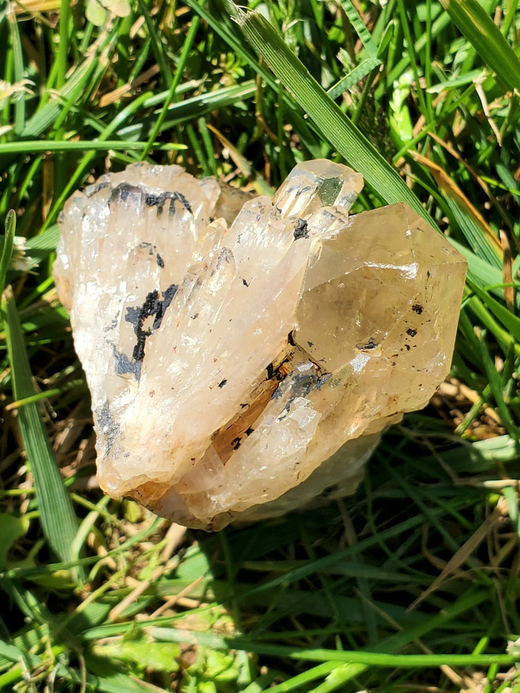 Natural Citrine Congo Specimen Crystals Minerals Stones Natural Metaphysical Nature Reiki Collectible C