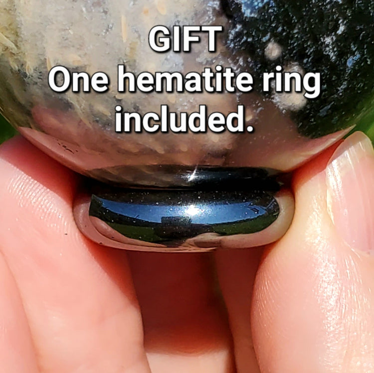 Fossilized Palm Root Sphere Indonesia BONUS GIFT Hematite Ring Collectible CC