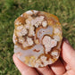 Flower Agate Slice Slab Minerals Stones Druzy Natural BONUS Info Card