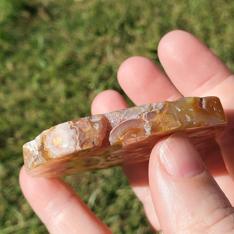 Flower Agate Slice Slab Minerals Stones Druzy Natural BONUS Info Card