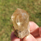 Citrine Crystals Minerals Stones Natural Specimen Point Collectible