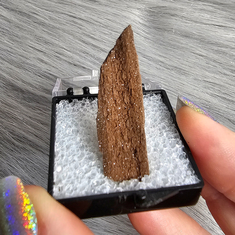 Druzy Wood Crystals Minerals Thumbnails Stones Natural Specimen Collectible