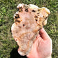 Large Pink Amethyst Slab Slice Crystals Minerals Druzy Cave Collectible