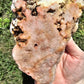 Large Pink Amethyst Slab Slice Crystals Minerals Druzy Cave Collectible