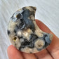 Black Flower Agate Moon Carving Druzy Crystals Minerals Stones Natural