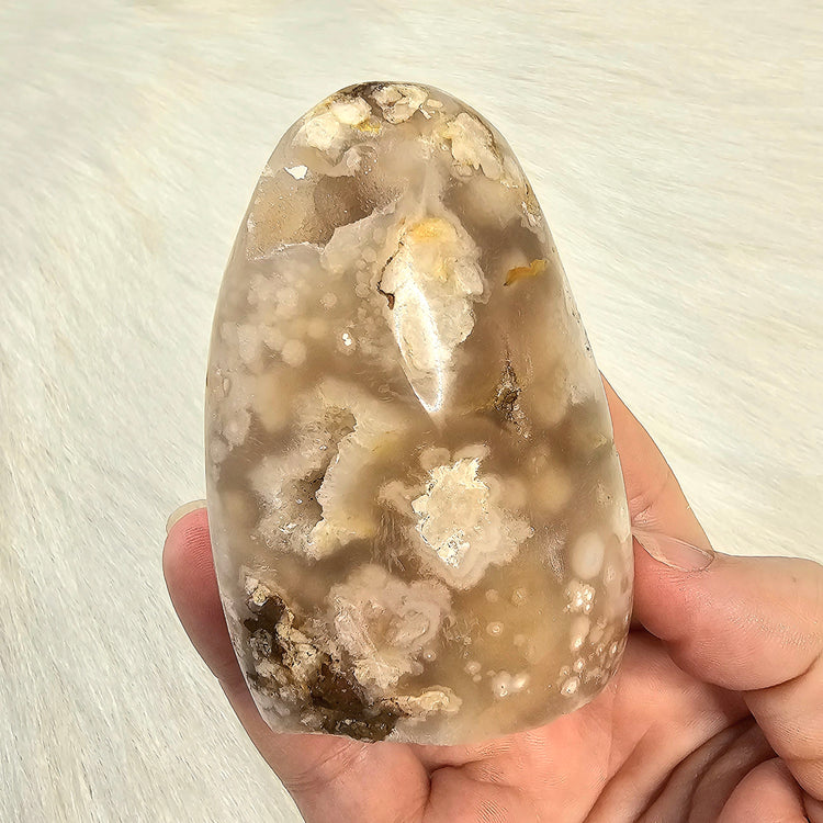 Flower Agate Freeform Druzy Crystals Minerals Stones Reiki Collectible