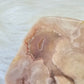 Flower Agate Slice Slab Minerals Stones Natural BONUS INFO CARD