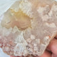 Flower Agate Slice Slab Minerals Stones Natural BONUS INFO CARD