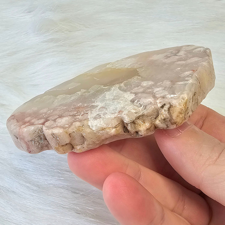 Flower Agate Slice Slab Minerals Stones Natural BONUS INFO CARD