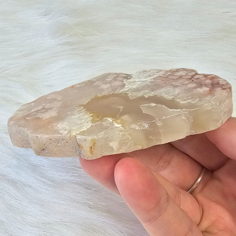 Flower Agate Slice Slab Minerals Stones Natural BONUS INFO CARD