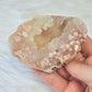 Flower Agate Slice Slab Minerals Stones Natural BONUS INFO CARD