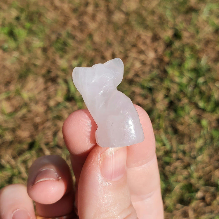 Clear Quartz Cat Crystals BONUS INFO CARD Minerals Gifts