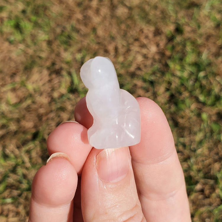 Clear Quartz Cat Crystals BONUS INFO CARD Minerals Gifts